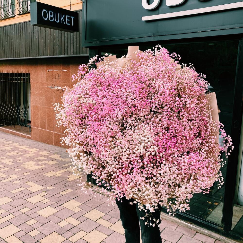 Пышное облако Гипсофил