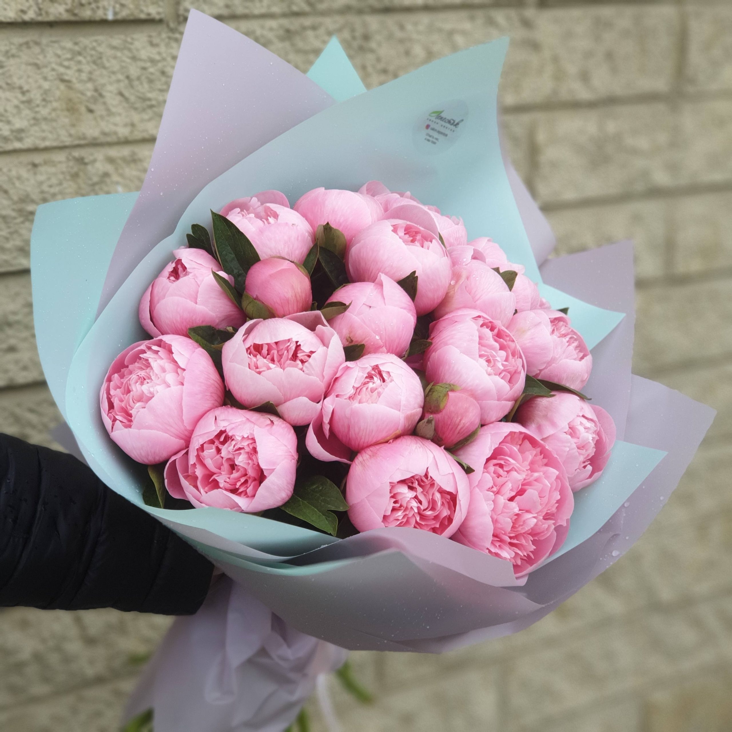 Букет из пионов Салмон