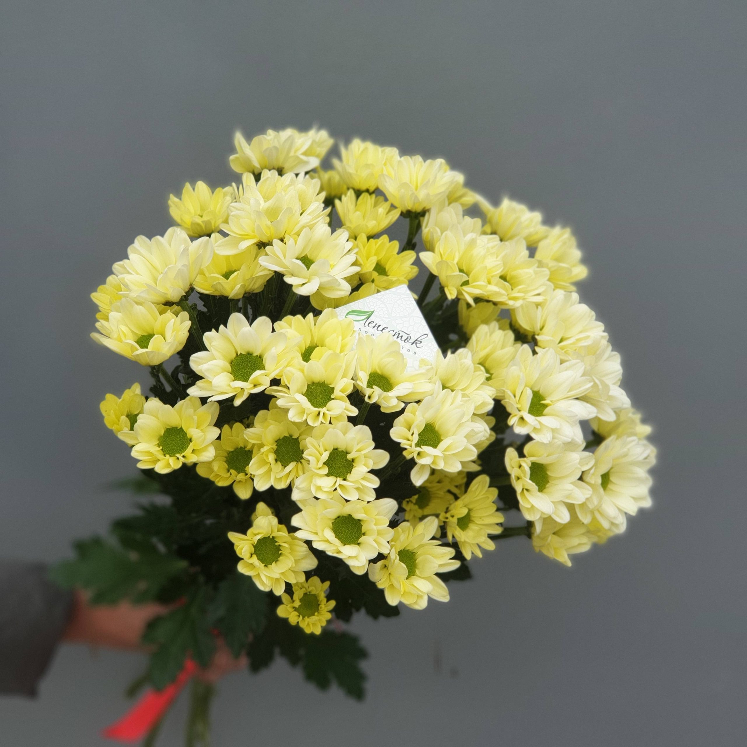 78dc400b-23ab-4dfe-8638-e0746ec1aa94